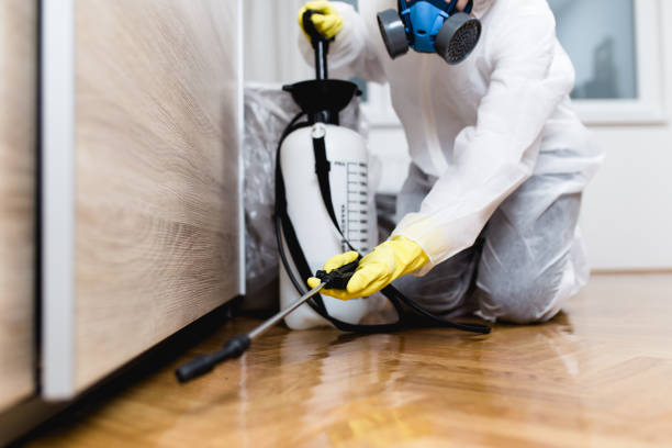 Best Local Pest Control Services  in Ocean Park, WA