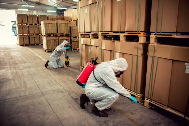 Best Affordable Pest Control Services  in Ocean Park, WA