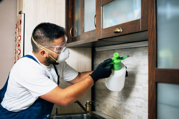 Reliable Ocean Park, WA Pest Control Solutions