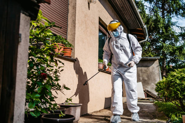 Best Residential Pest Control  in Ocean Park, WA
