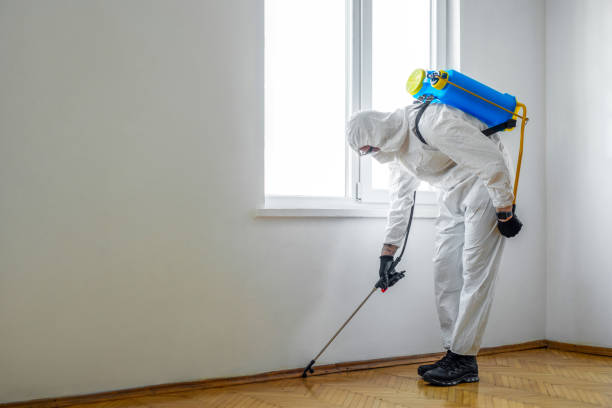 Best Pest Inspection Near Me  in Ocean Park, WA