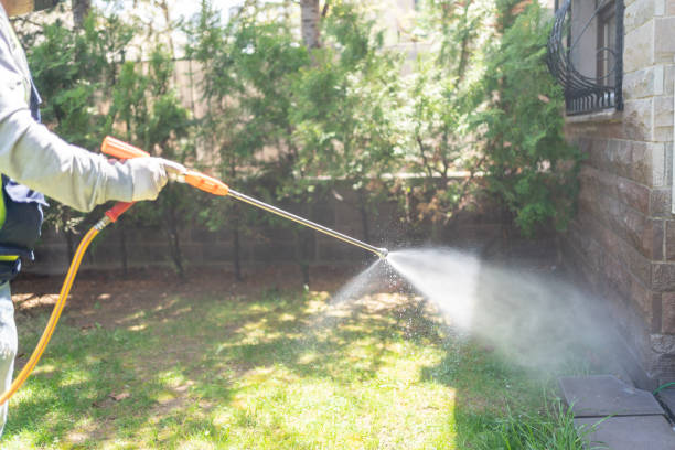 Best Flea Control Services  in Ocean Park, WA
