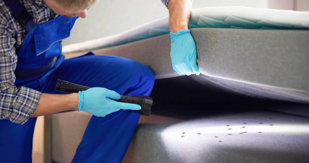 Trusted Ocean Park, WA Pest Control Experts