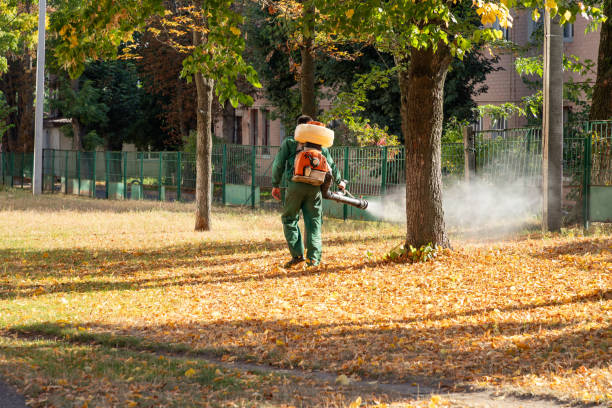 Best Pest Removal Services  in Ocean Park, WA