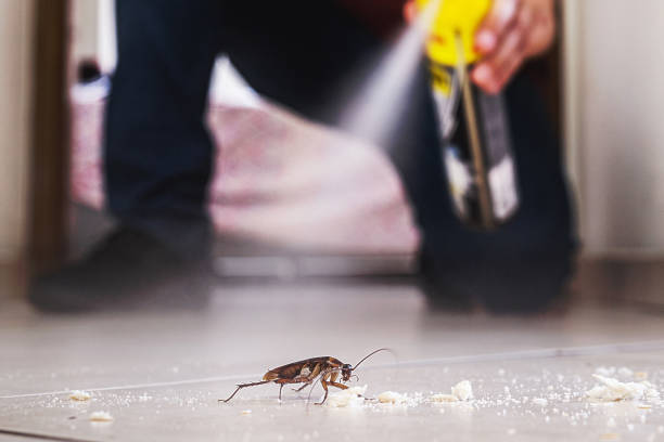 Best Exterminator Services  in Ocean Park, WA