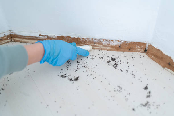 Best Pest Control for Restaurants  in Ocean Park, WA
