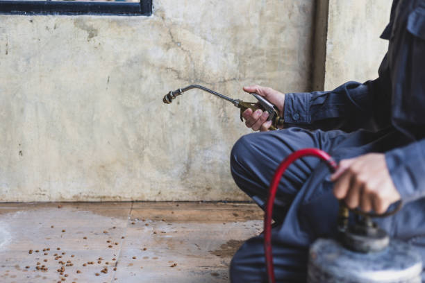 Wasp Removal Services in Ocean Park, WA